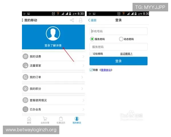 德赢手机官方地址官方入口详细介绍，帮助用户轻松访问官方平台